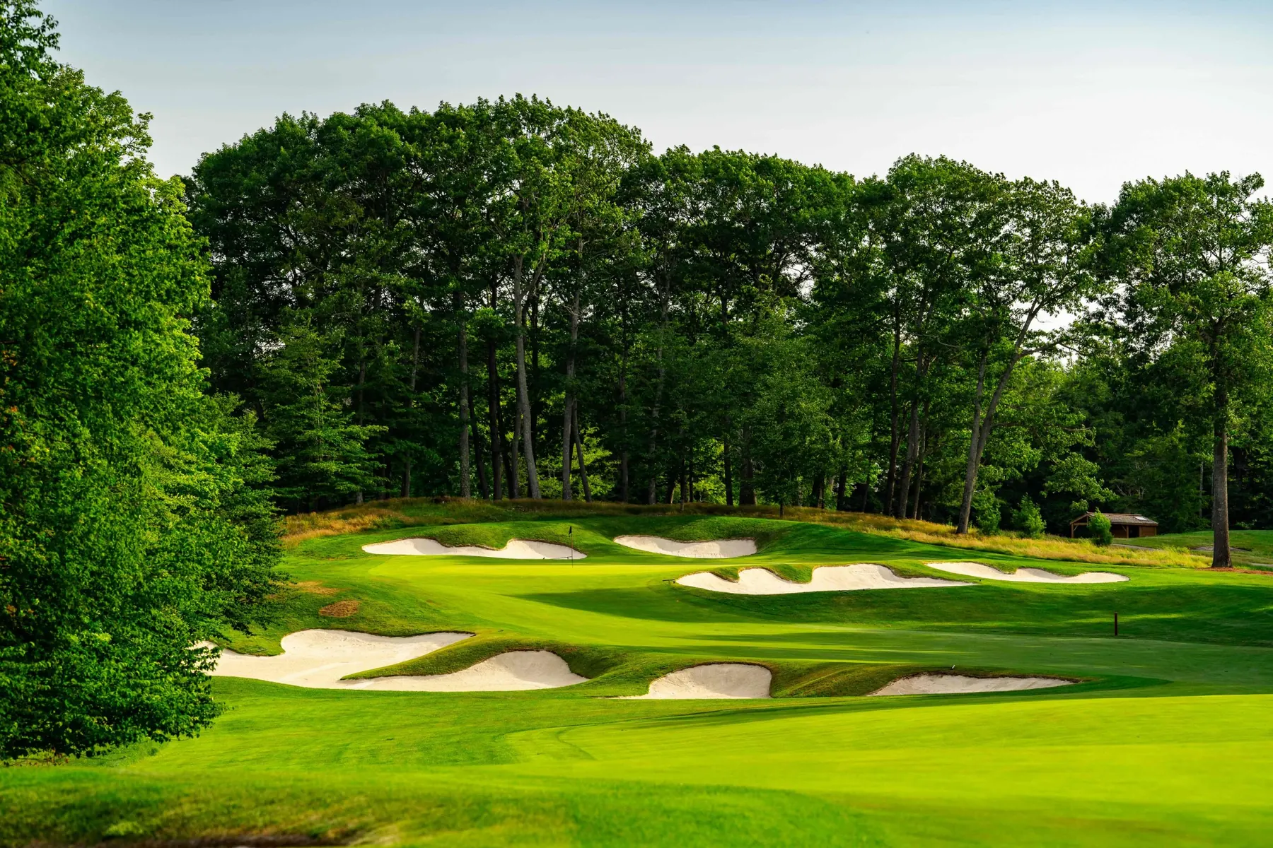 Fairway view of a heavily bunkered green below tall pines