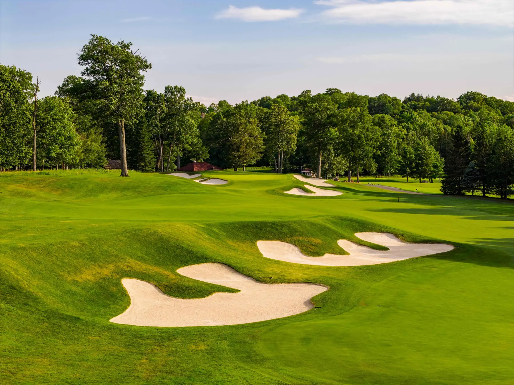 Sculpted fairway bunkers in late afternoon light
