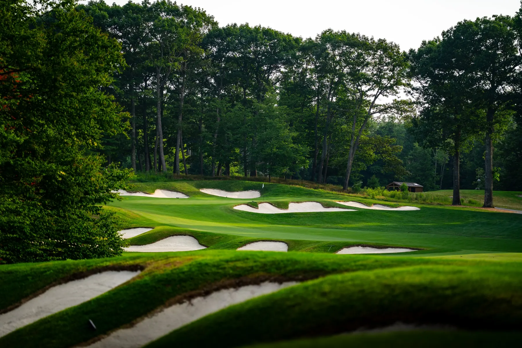 A bunkered green framed by trees and grassy mounds
