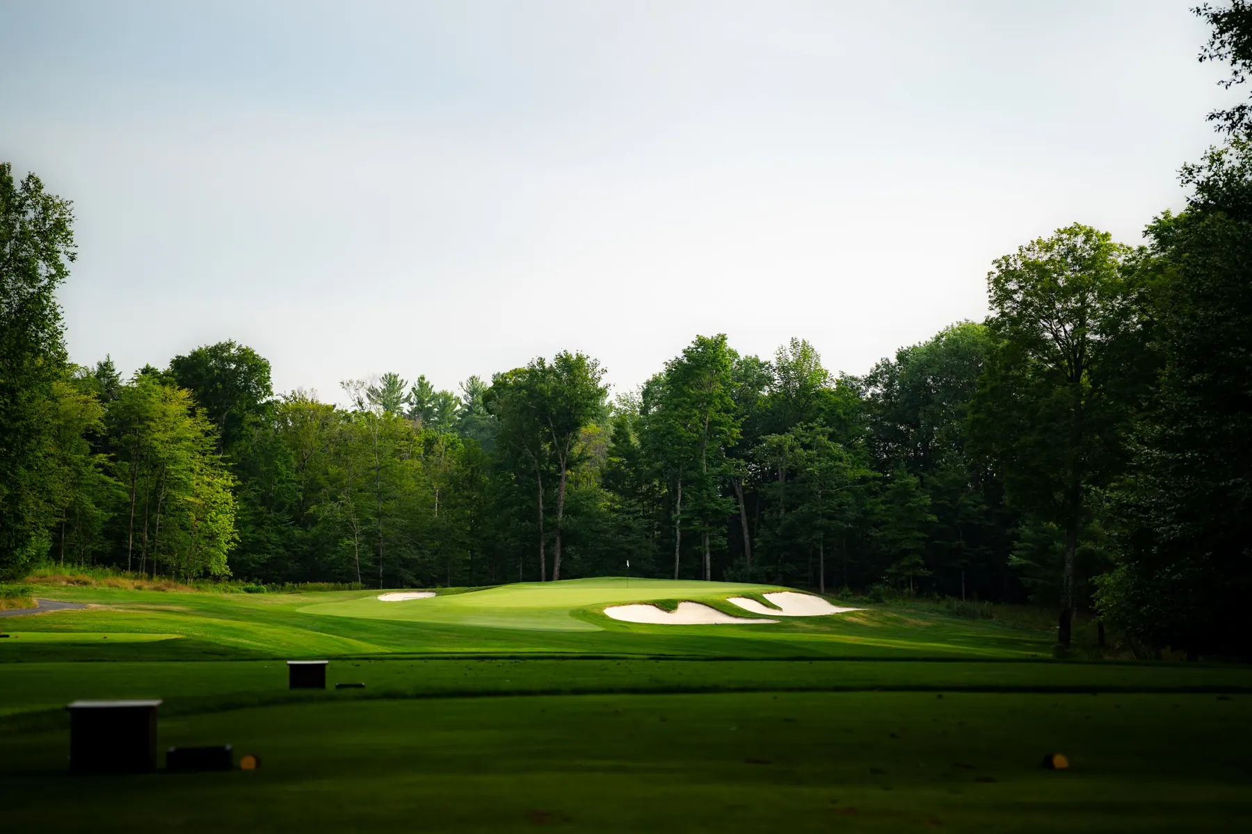 A green lit by evening sun beyond a shaded tee