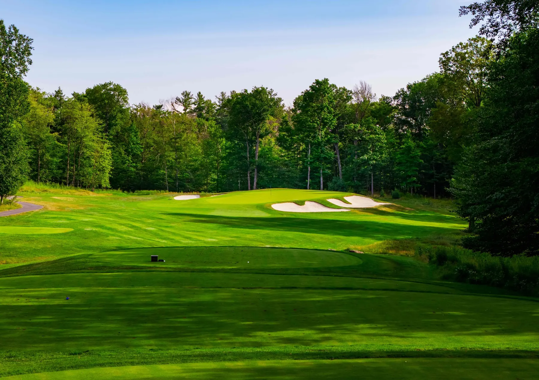 Tee shot view to an elevated green framed by forest
