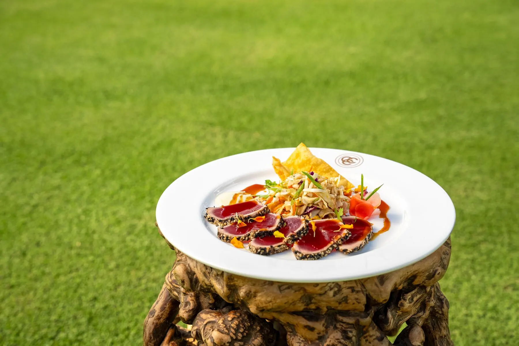 Plated seared tuna dish at Coral Creek Club