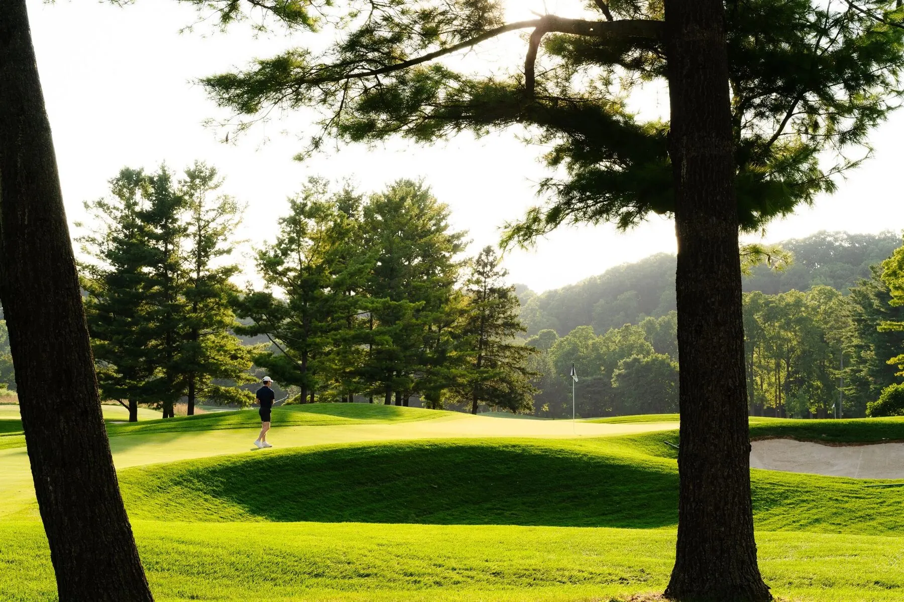 Green and bunkers at Deer Ridge