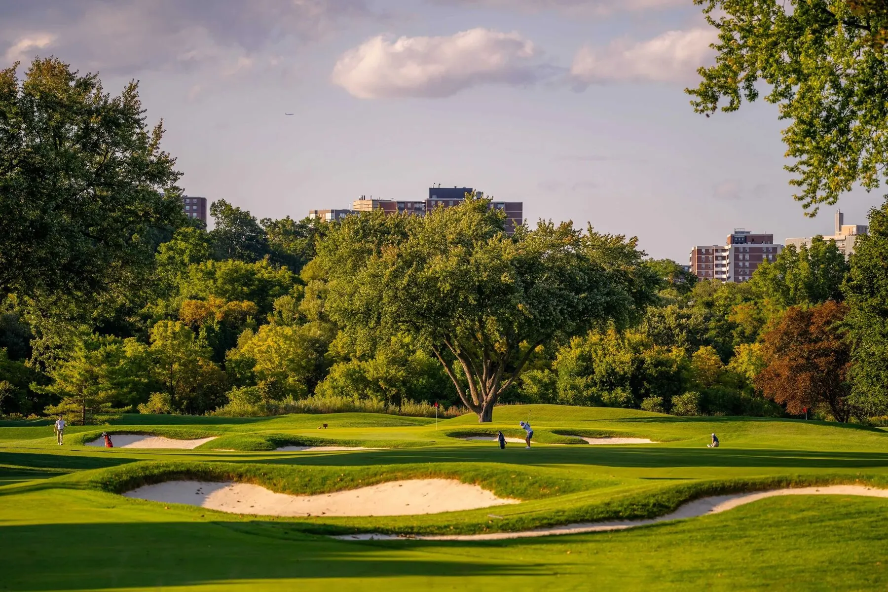 Golfers among bunkers at Lambton