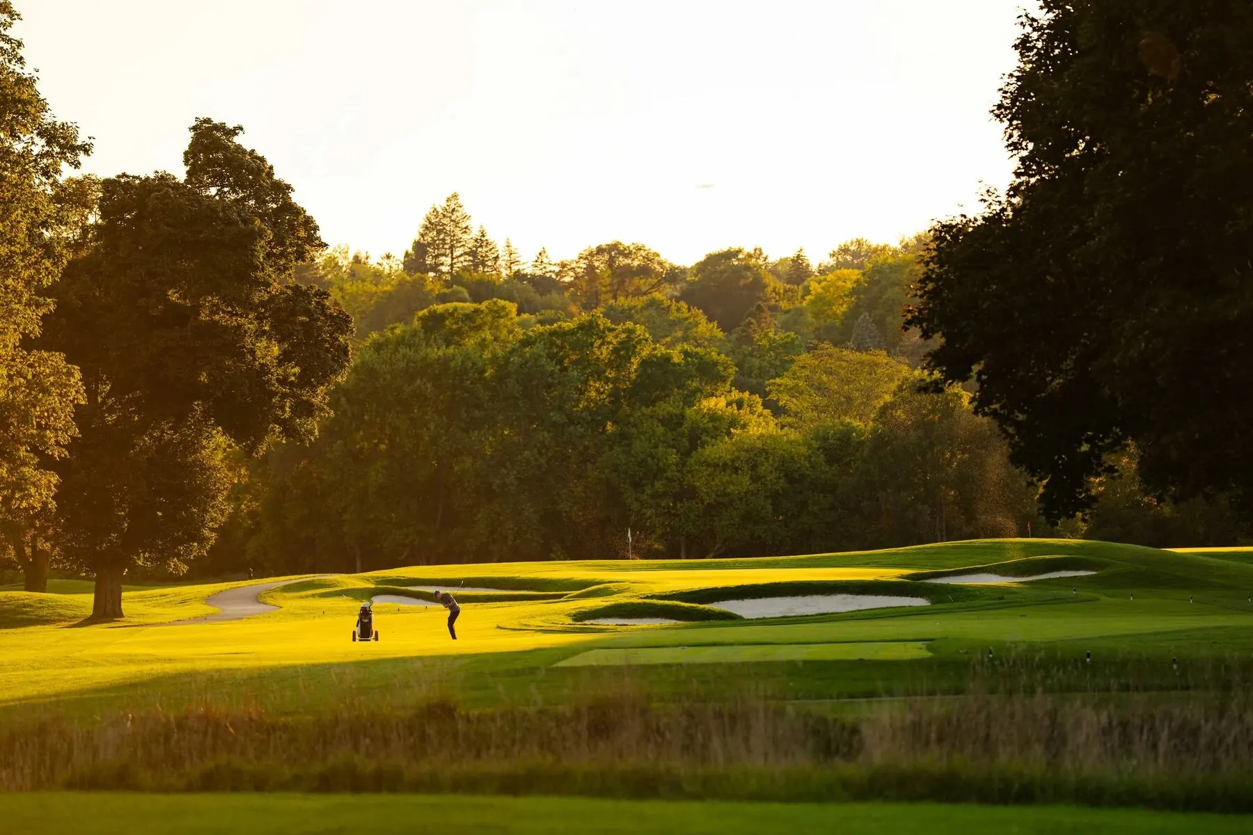 Golfer approaching the green at golden hour