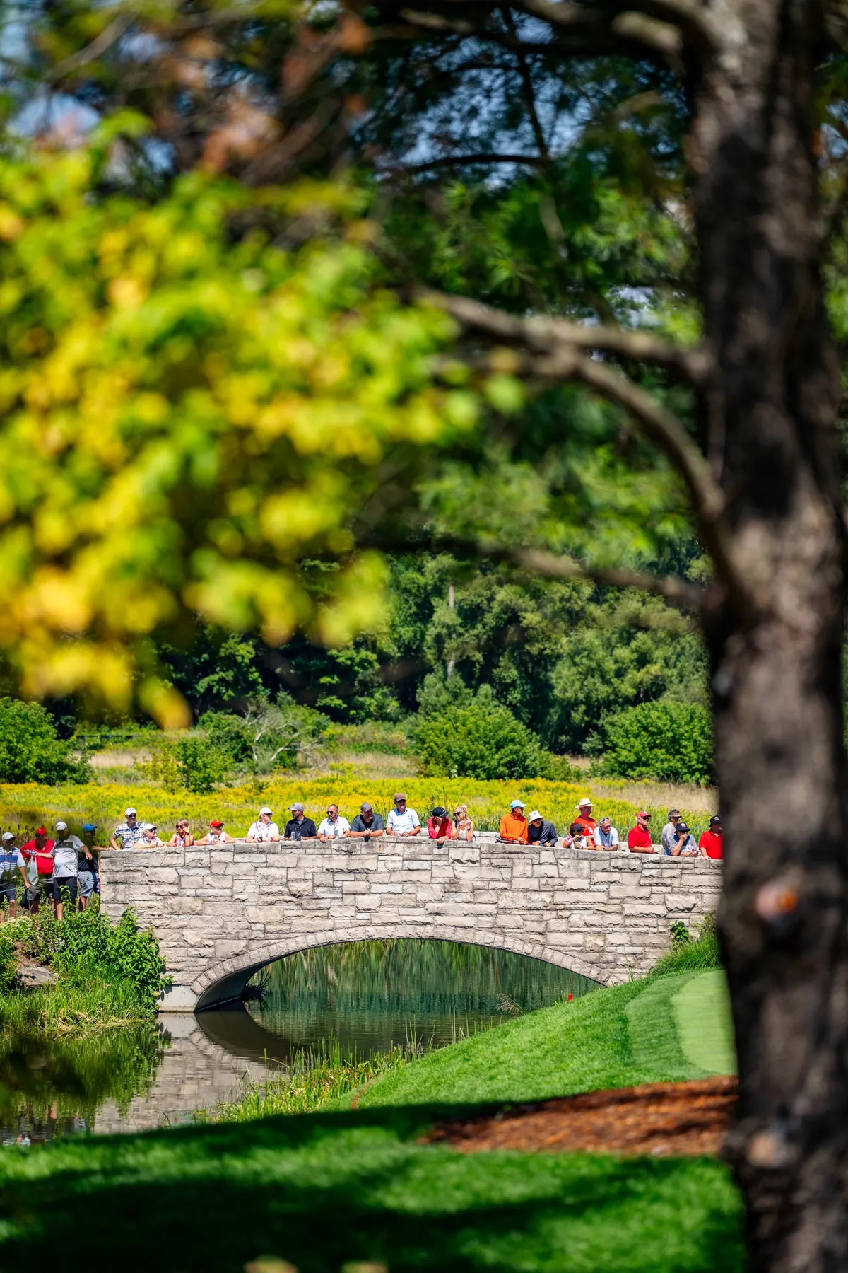 Spectators lining a stone bridge over the creek at Mississaugua
