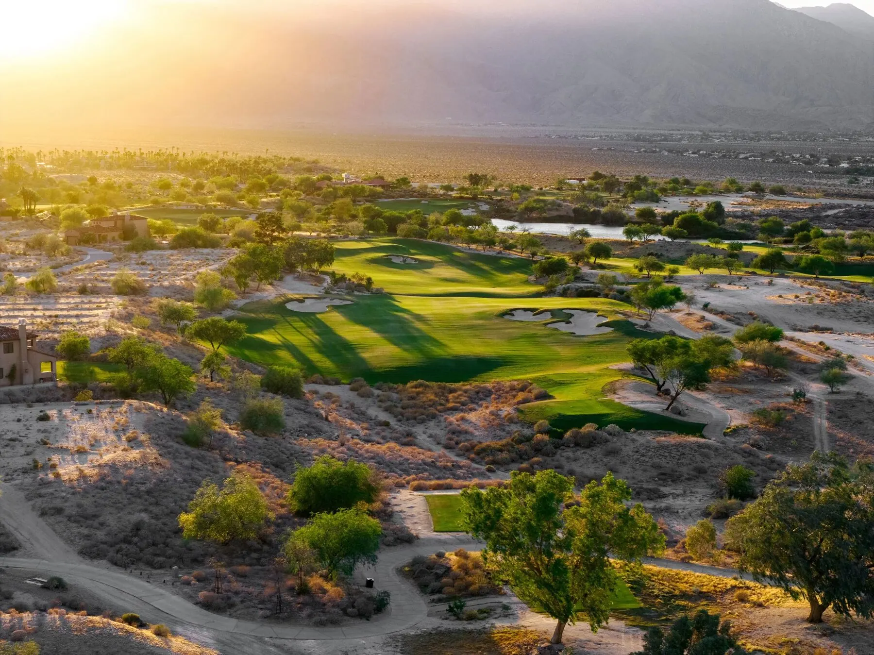 Green in the desert at dusk at Rams Hill