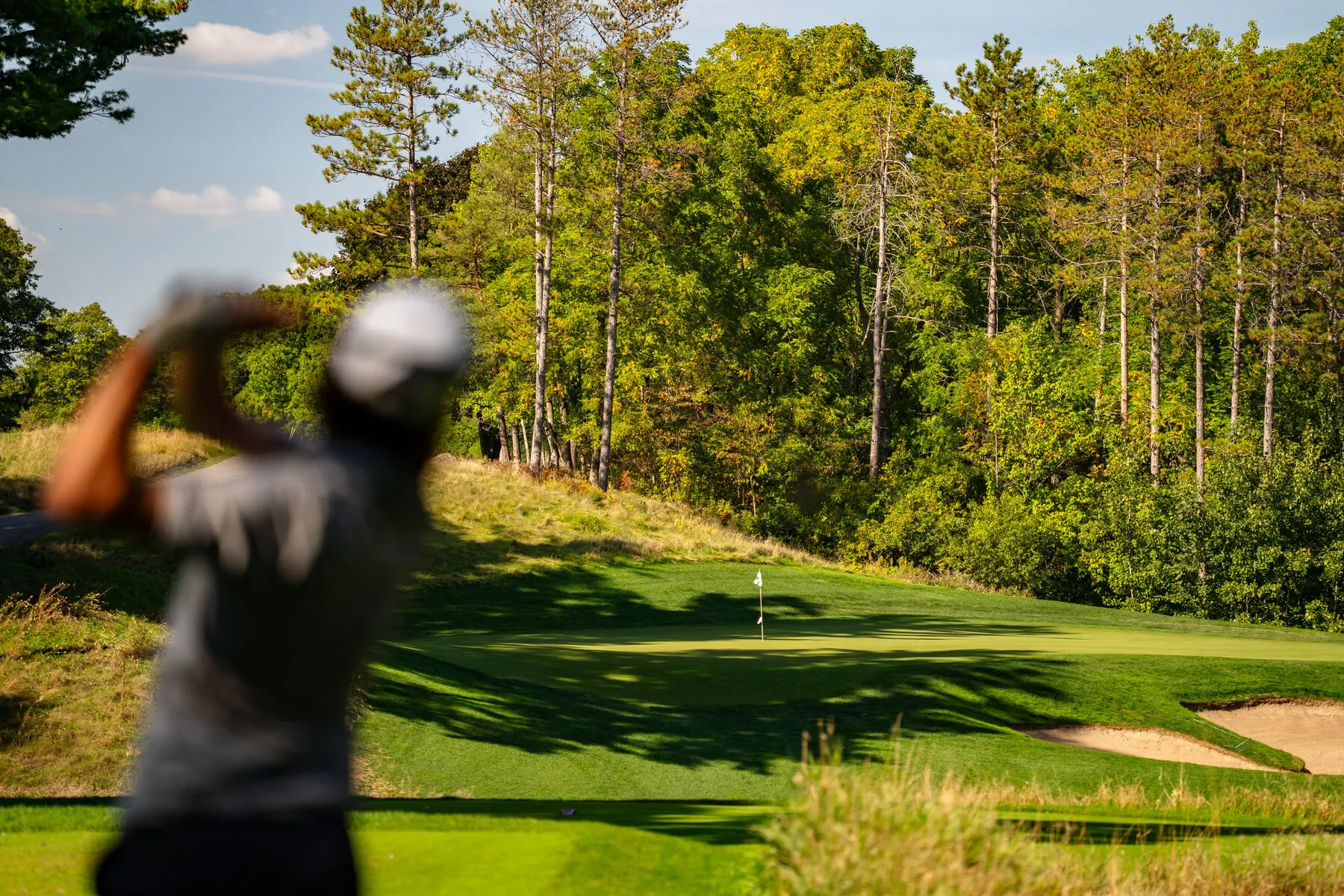 Golfer approaching the flag through the trees
