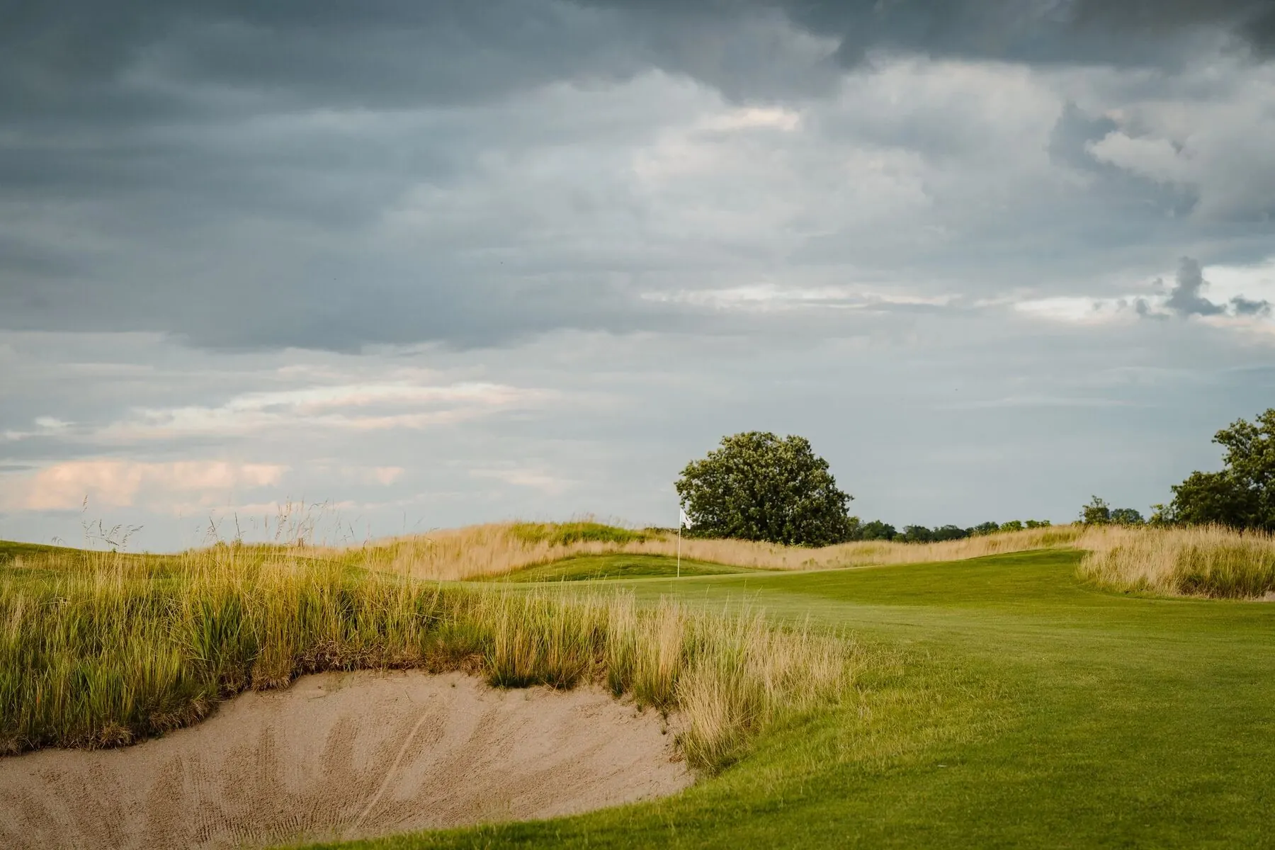 Green at golden hour at Tarandowah