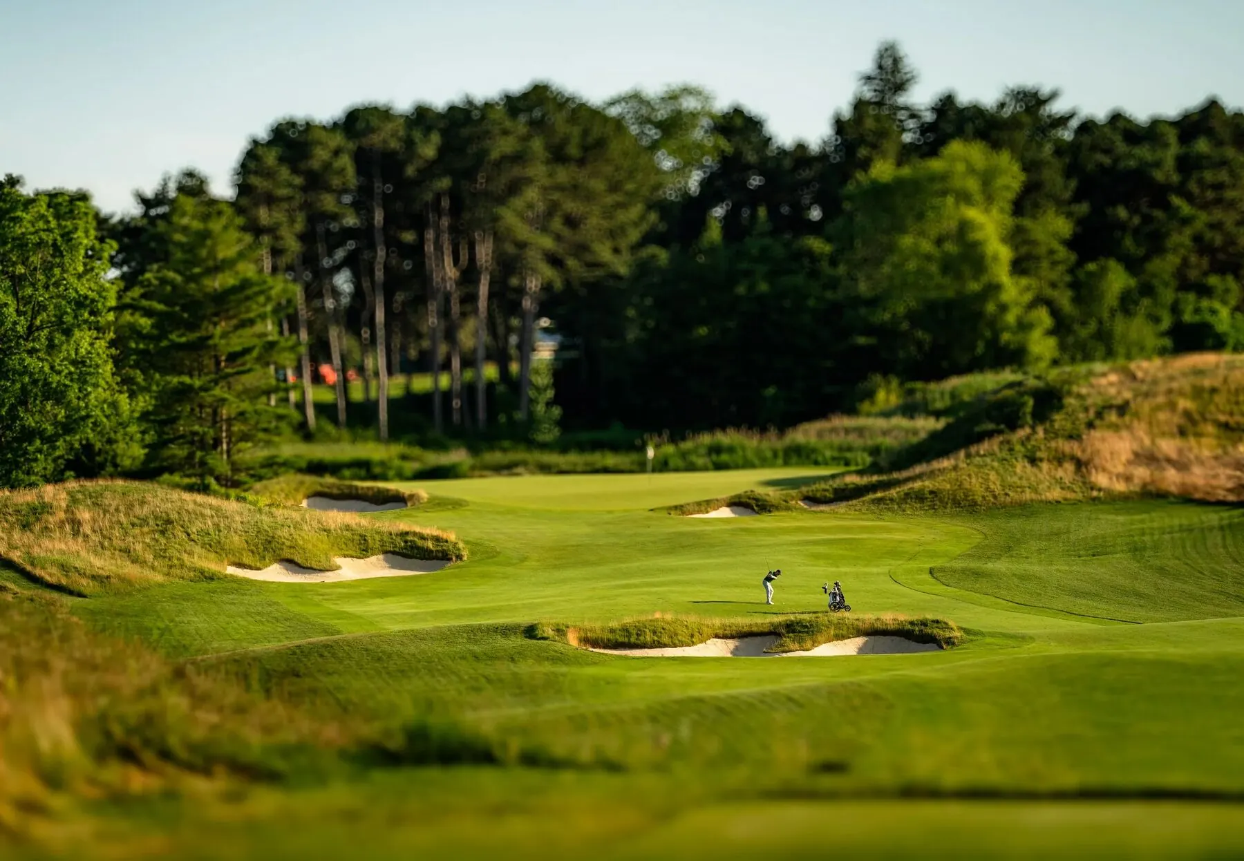 Green framed by trees at Toronto Golf Club